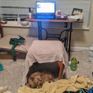 Very messy work area. Knitting sits on the dog bed. Dog is under the stool. Multiple food dishes are visible.